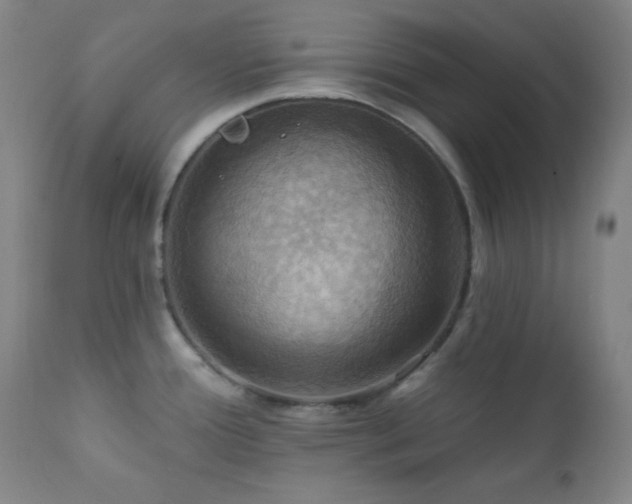 X0000112031388200908031425