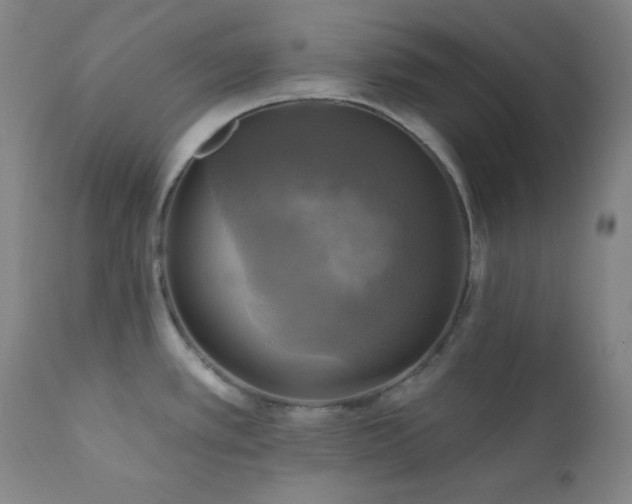 X0000112031389200908031425