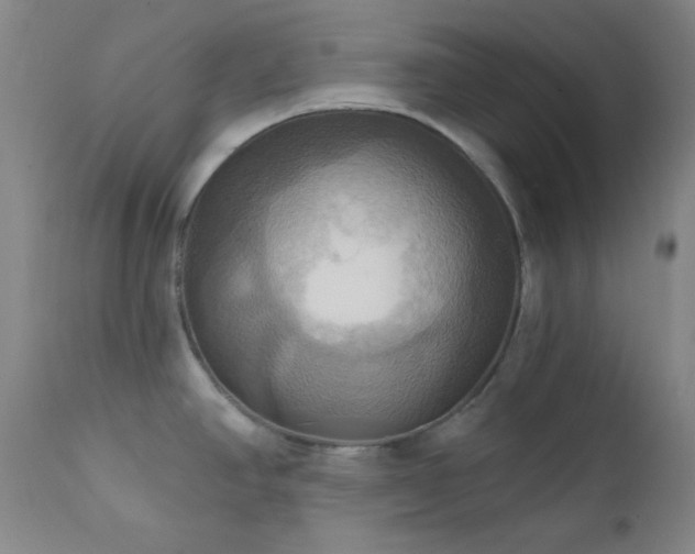 X0000112031390200908031425