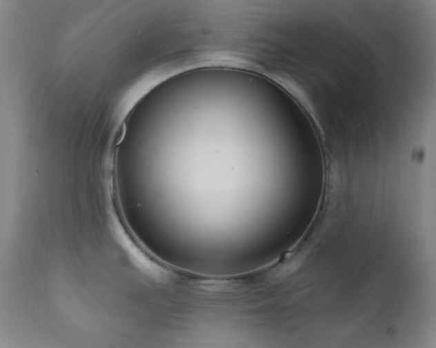 X0000112031391200908031425