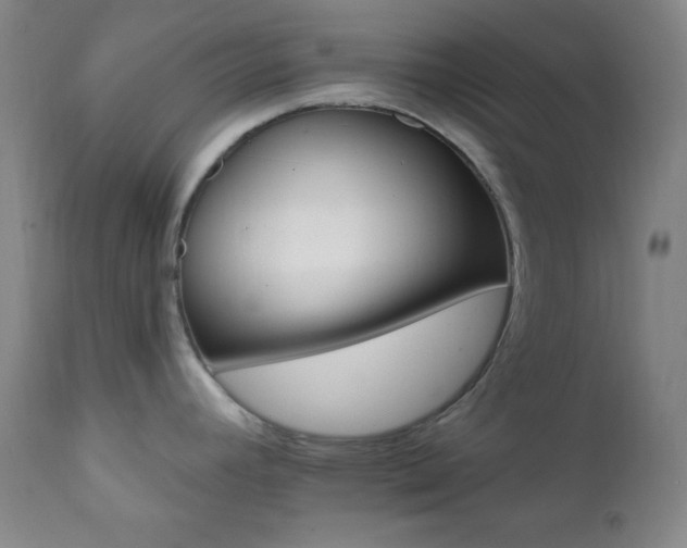 X0000112031392200908031425