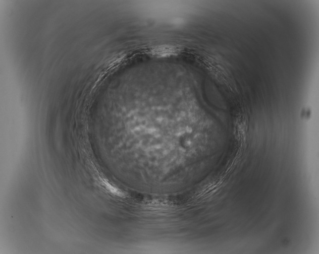 X0000112031393200908031425