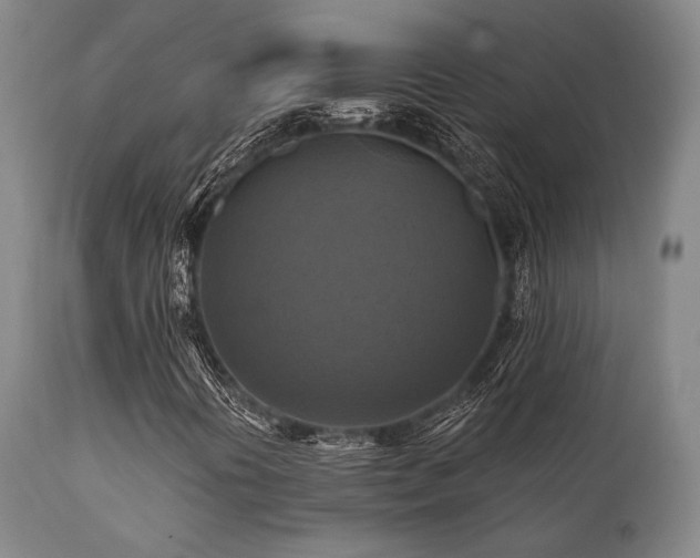 X0000112031394200908031425
