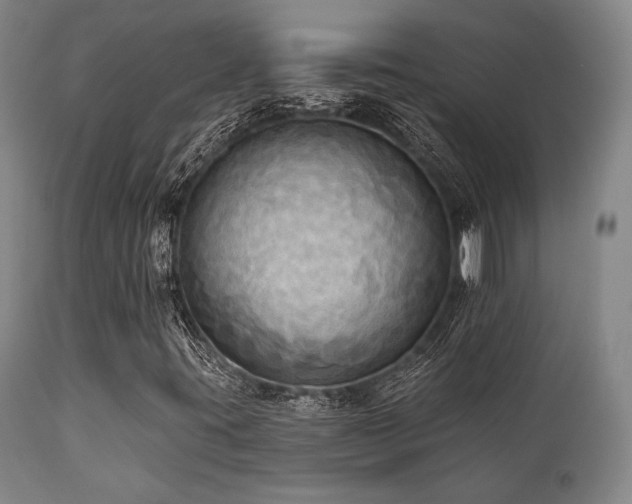 X0000112031395200908031425