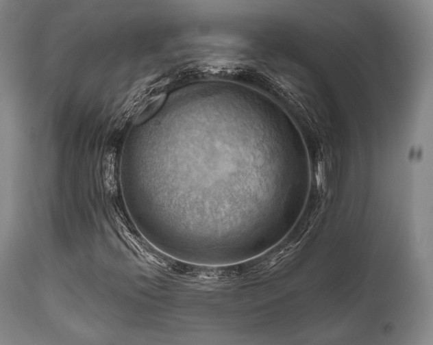 X0000112031396200908031425