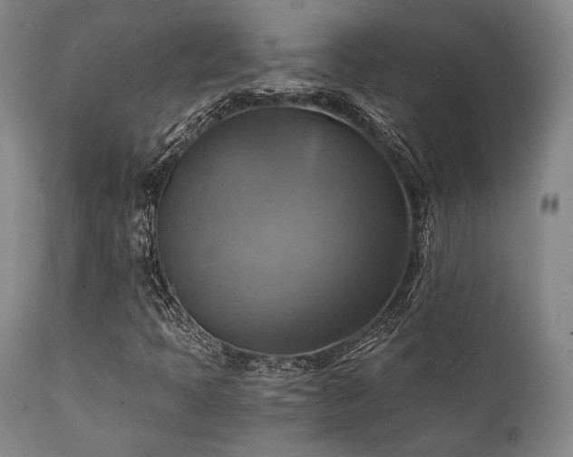 X0000112031397200908031425