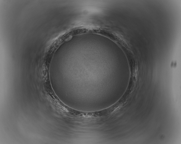 X0000112031398200908031425