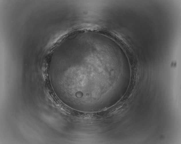 X0000112031399200908031425