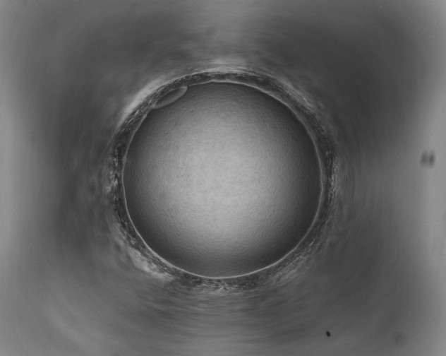 X0000112031400200908031425