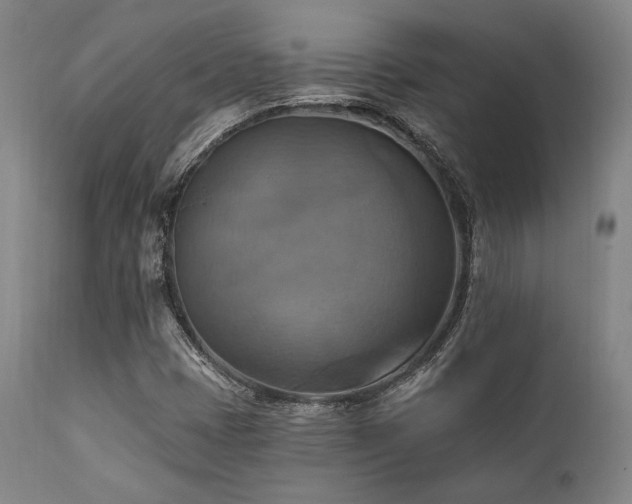 X0000112031401200908031425