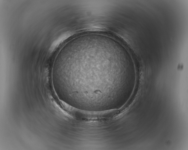 X0000112031402200908031425