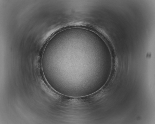 X0000112031404200908031425