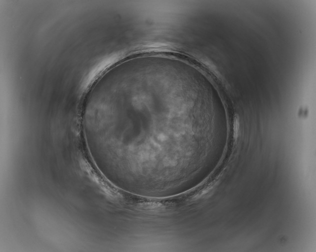 X0000112031405200908031425
