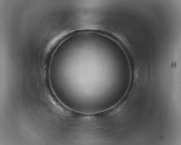 X0000112031406200908031425