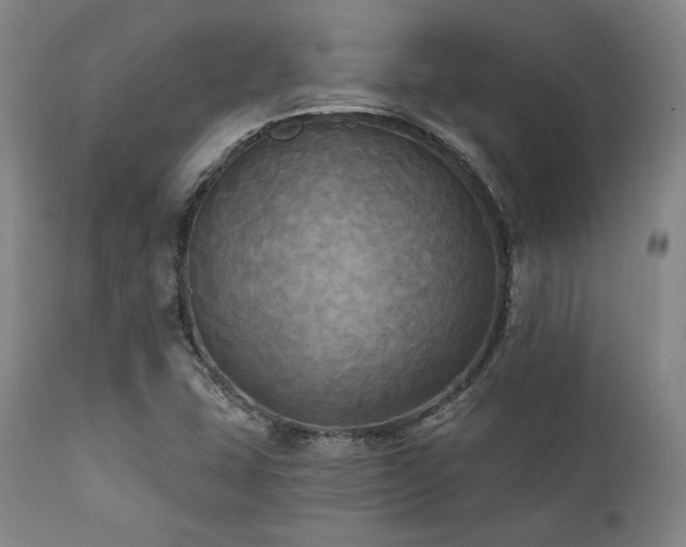 X0000112031407200908031425