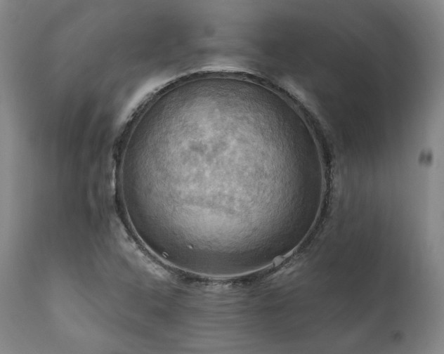 X0000112031408200908031425