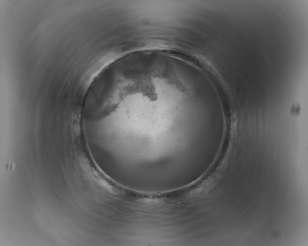 X0000112031409200908031425