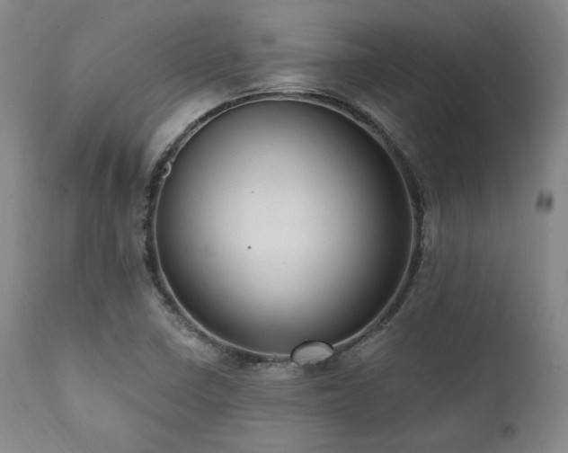 X0000112031410200908031425
