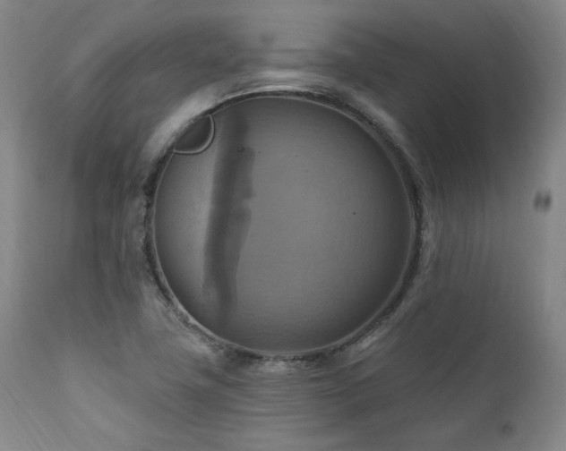 X0000112031411200908031425