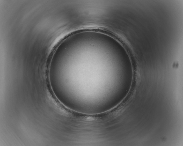 X0000112031412200908031425