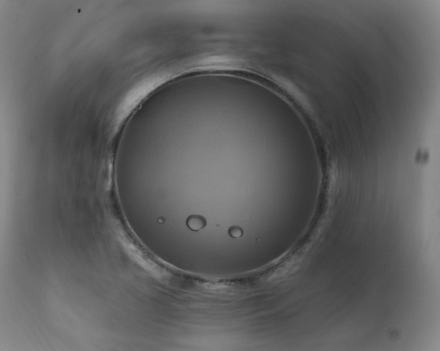 X0000112031413200908031425
