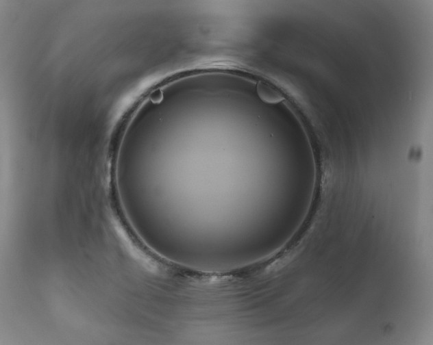 X0000112031414200908031425