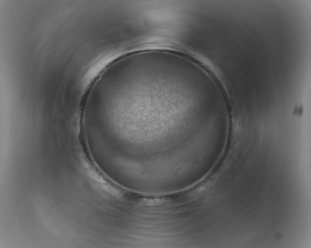 X0000112031415200908031425