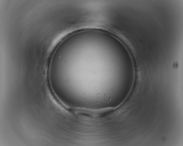 X0000112031416200908031425