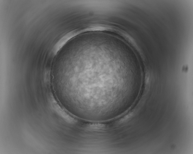X0000112031417200908031425