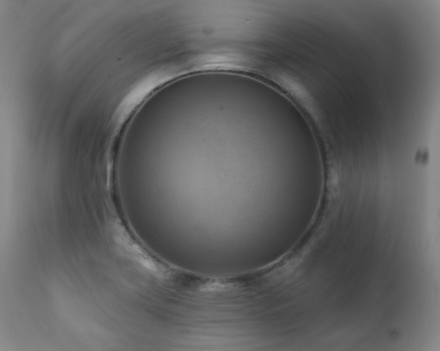 X0000112031419200908031425