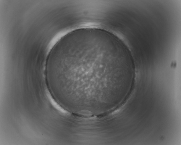 X0000112031421200908031425