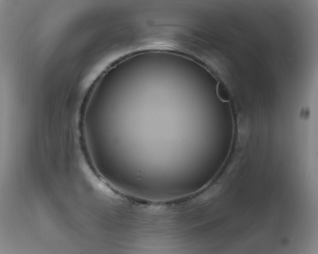 X0000112031422200908031425