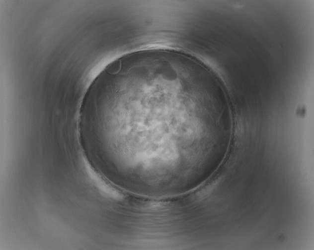 X0000112031423200908031425