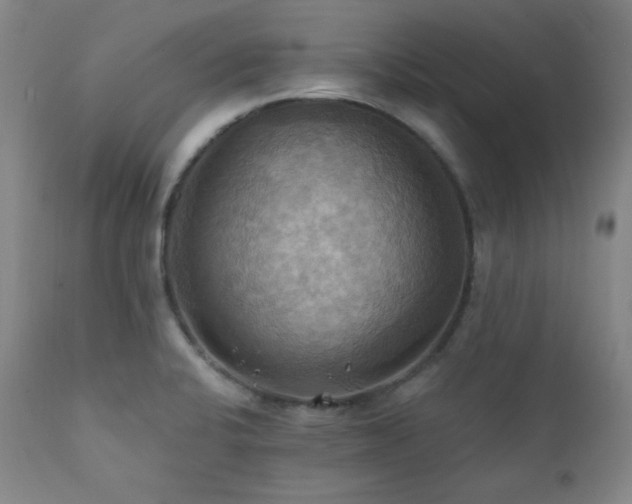 X0000112031424200908031425