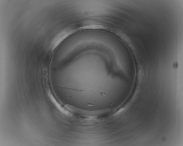 X0000112031425200908031425
