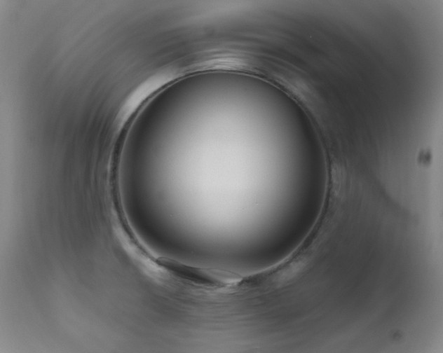 X0000112031426200908031425