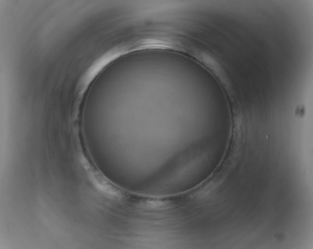X0000112031427200908031425