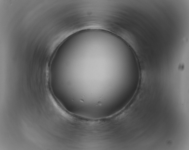 X0000112031428200908031425