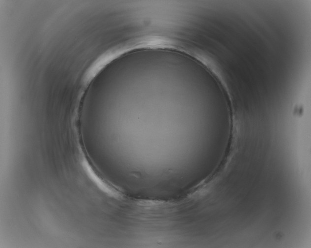 X0000112031429200908031425