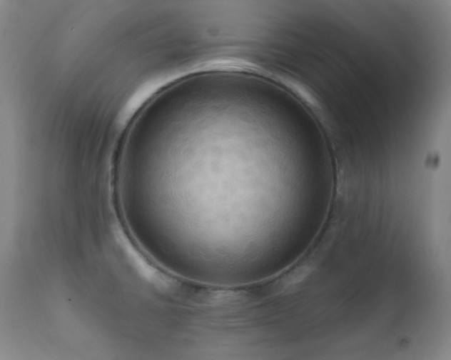 X0000112031430200908031425
