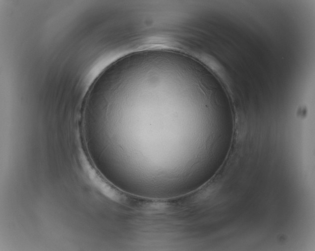 X0000112031431200908031425
