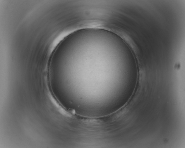 X0000112031432200908031425