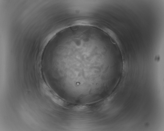 X0000112031435200908031425