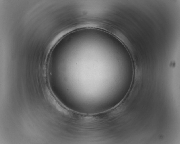 X0000112031436200908031425