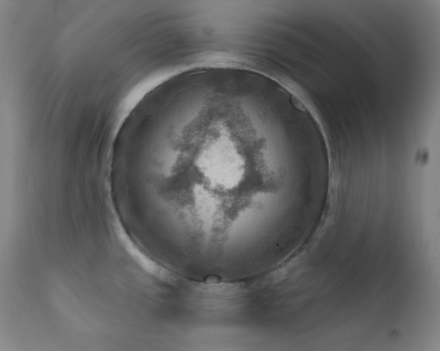 X0000112031437200908031425