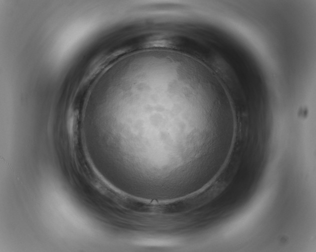 X0000112031438200908031425