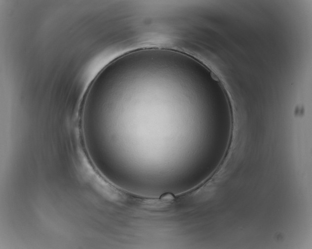 X0000112031440200908031425