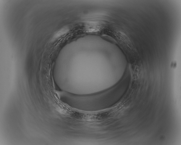 X0000112031441200908031425