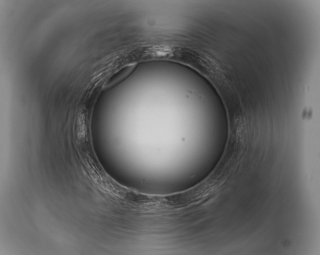 X0000112031442200908031425