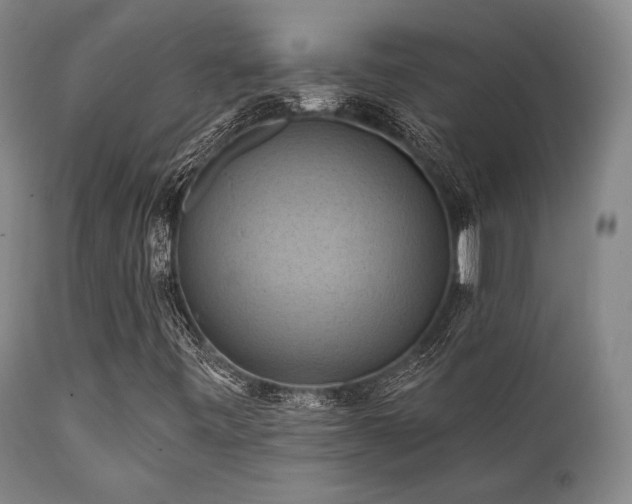 X0000112031443200908031425